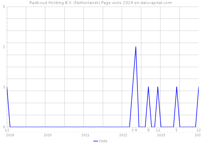 Radboud Holding B.V. (Netherlands) Page visits 2024 