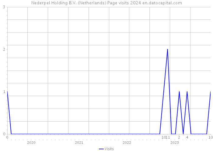 Nederpel Holding B.V. (Netherlands) Page visits 2024 