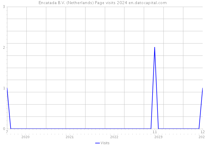 Encatada B.V. (Netherlands) Page visits 2024 