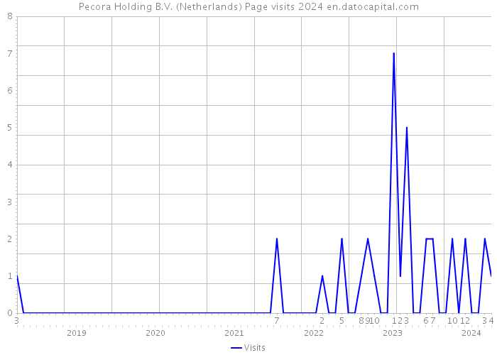 Pecora Holding B.V. (Netherlands) Page visits 2024 