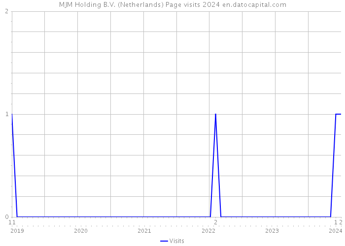 MJM Holding B.V. (Netherlands) Page visits 2024 