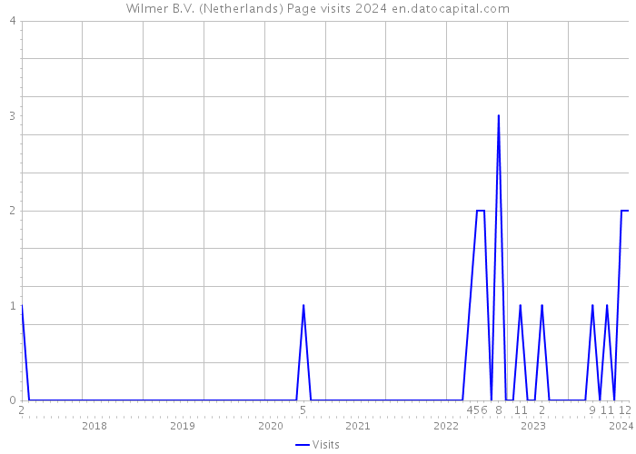 Wilmer B.V. (Netherlands) Page visits 2024 