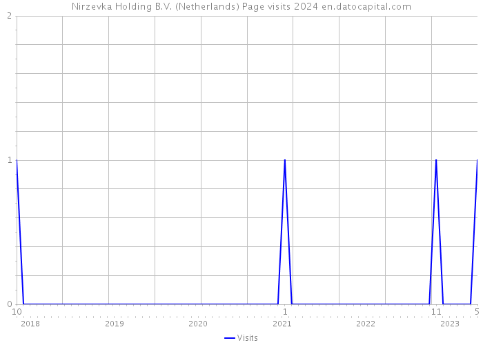 Nirzevka Holding B.V. (Netherlands) Page visits 2024 