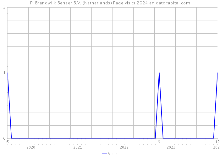 P. Brandwijk Beheer B.V. (Netherlands) Page visits 2024 