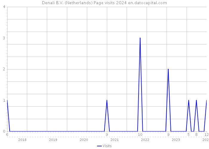 Denali B.V. (Netherlands) Page visits 2024 
