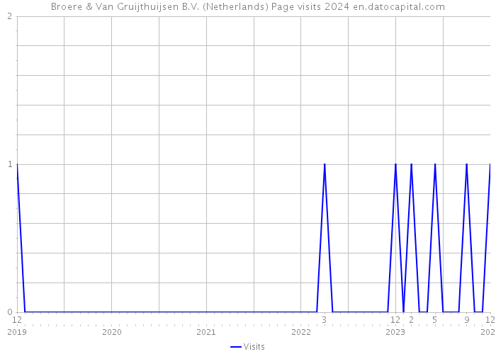 Broere & Van Gruijthuijsen B.V. (Netherlands) Page visits 2024 