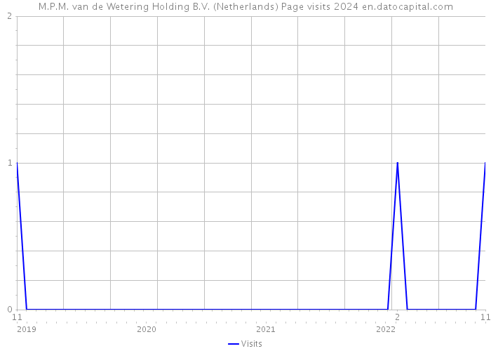 M.P.M. van de Wetering Holding B.V. (Netherlands) Page visits 2024 