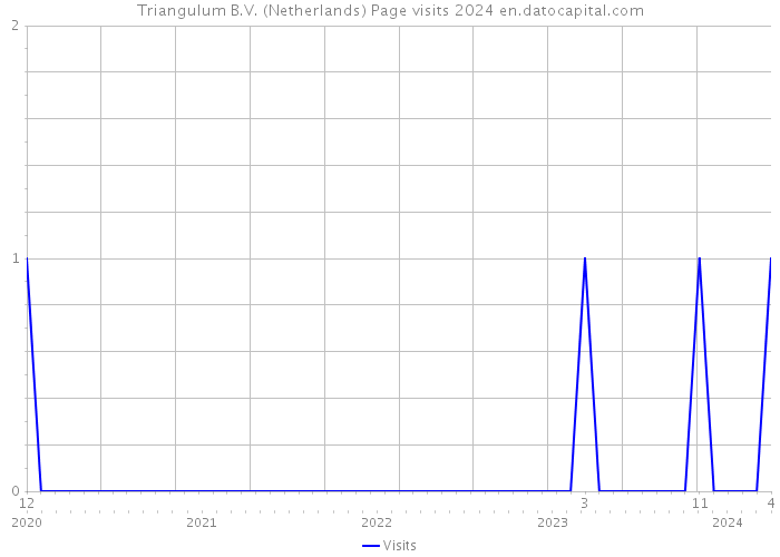 Triangulum B.V. (Netherlands) Page visits 2024 