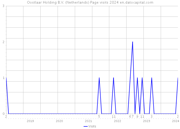 Oostlaar Holding B.V. (Netherlands) Page visits 2024 