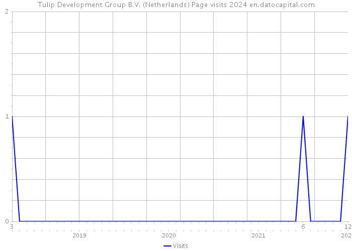 Tulip Development Group B.V. (Netherlands) Page visits 2024 