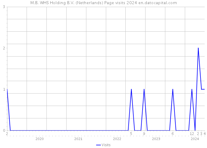 M.B. WHS Holding B.V. (Netherlands) Page visits 2024 