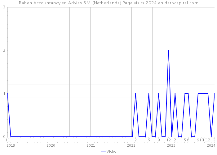 Raben Accountancy en Advies B.V. (Netherlands) Page visits 2024 