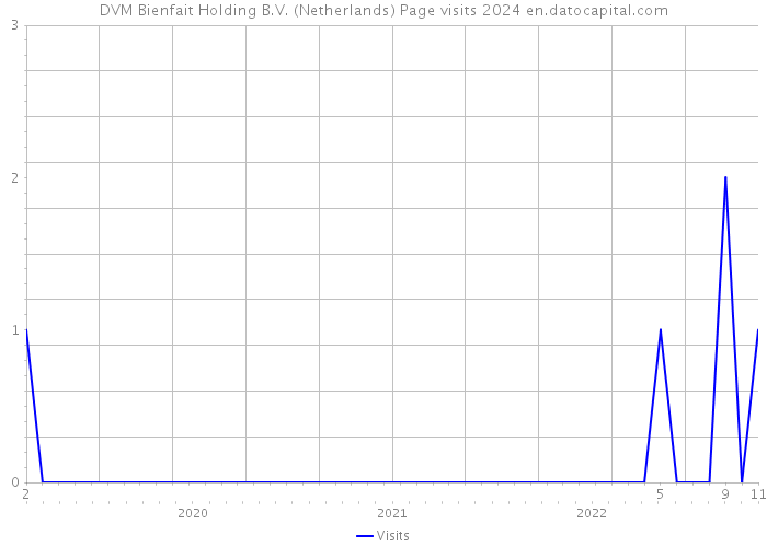 DVM Bienfait Holding B.V. (Netherlands) Page visits 2024 