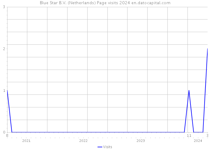 Blue Star B.V. (Netherlands) Page visits 2024 
