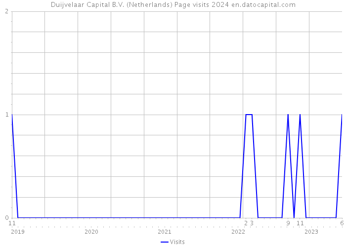 Duijvelaar Capital B.V. (Netherlands) Page visits 2024 