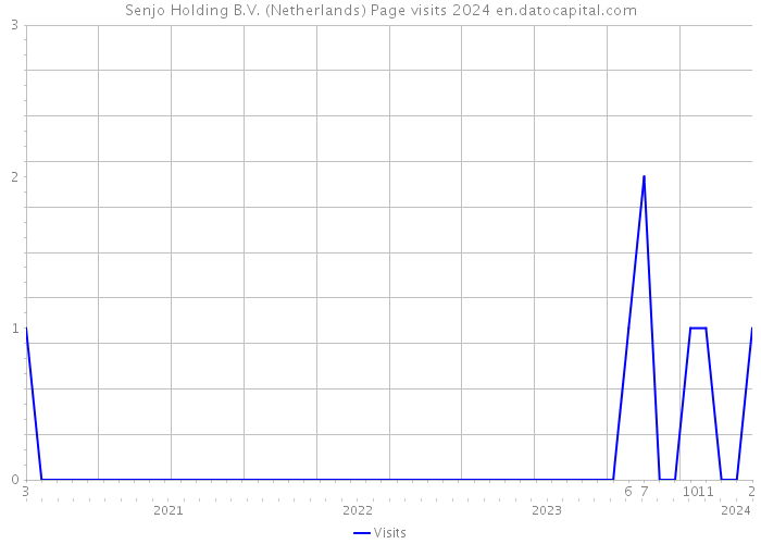 Senjo Holding B.V. (Netherlands) Page visits 2024 