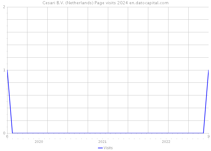 Cesari B.V. (Netherlands) Page visits 2024 