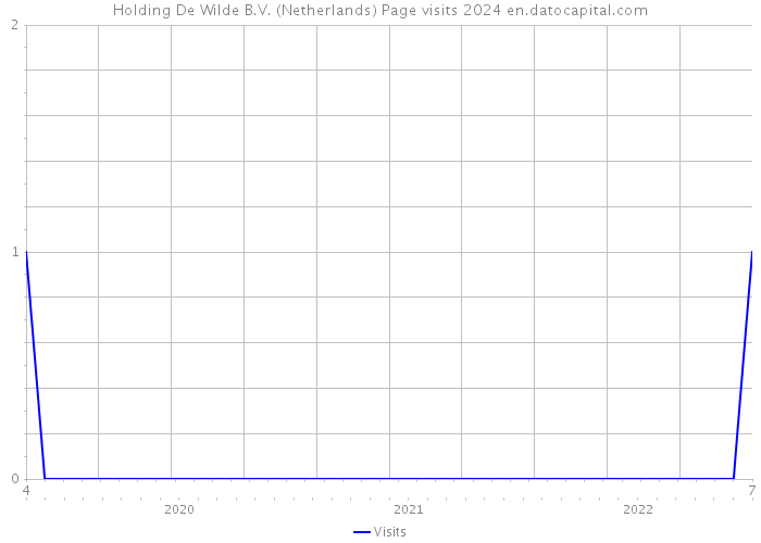 Holding De Wilde B.V. (Netherlands) Page visits 2024 
