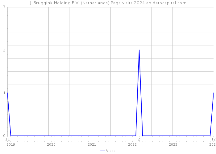 J. Bruggink Holding B.V. (Netherlands) Page visits 2024 