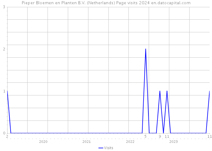 Pieper Bloemen en Planten B.V. (Netherlands) Page visits 2024 