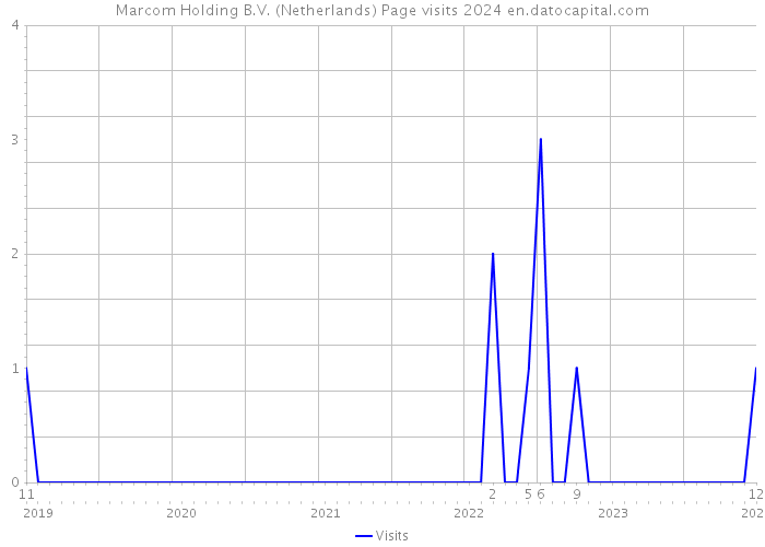Marcom Holding B.V. (Netherlands) Page visits 2024 