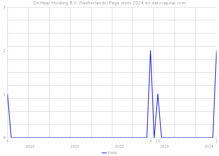 De Haar Holding B.V. (Netherlands) Page visits 2024 