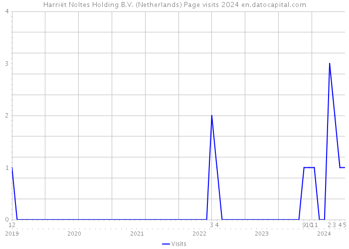 Harriët Noltes Holding B.V. (Netherlands) Page visits 2024 