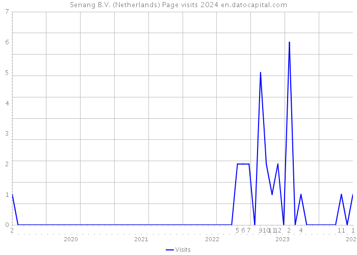 Senang B.V. (Netherlands) Page visits 2024 