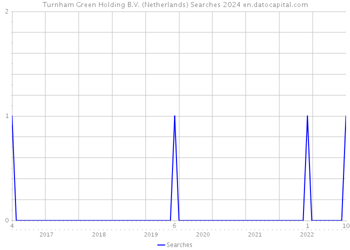 Turnham Green Holding B.V. (Netherlands) Searches 2024 