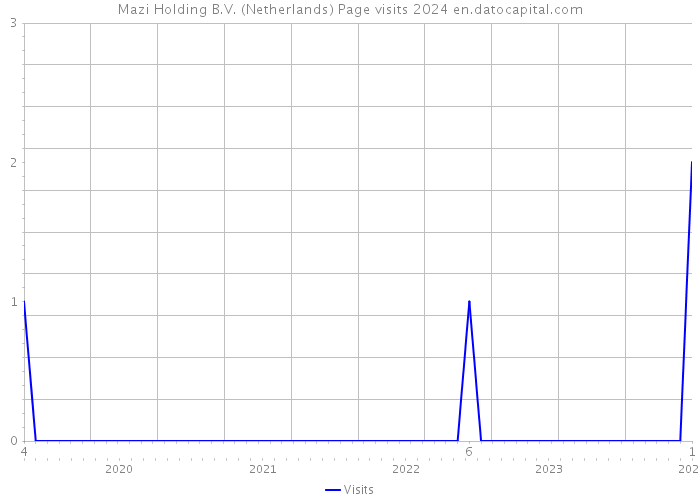 Mazi Holding B.V. (Netherlands) Page visits 2024 