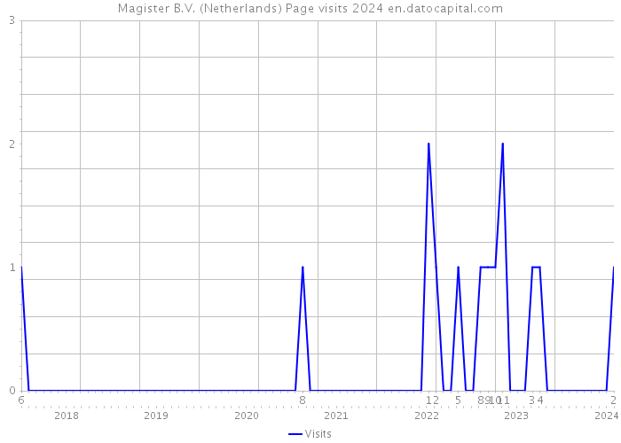 Magister B.V. (Netherlands) Page visits 2024 
