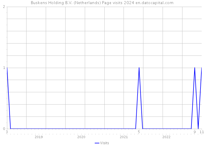 Buskens Holding B.V. (Netherlands) Page visits 2024 