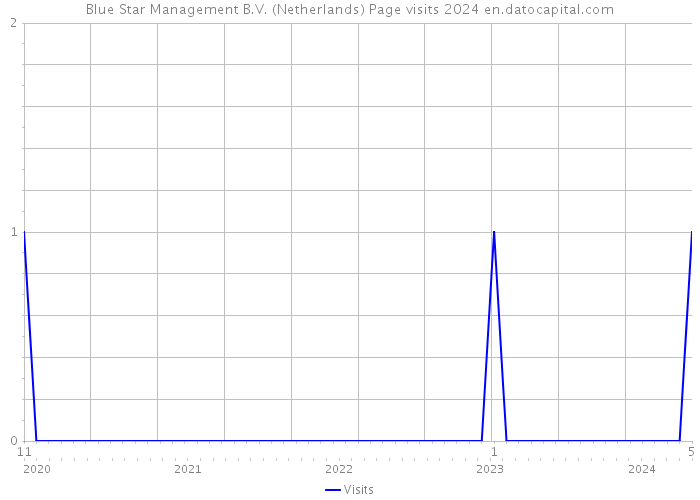 Blue Star Management B.V. (Netherlands) Page visits 2024 
