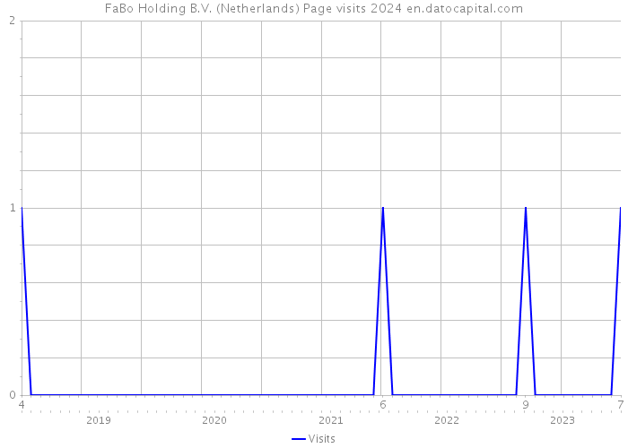 FaBo Holding B.V. (Netherlands) Page visits 2024 