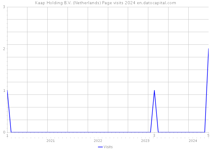 Kaap Holding B.V. (Netherlands) Page visits 2024 