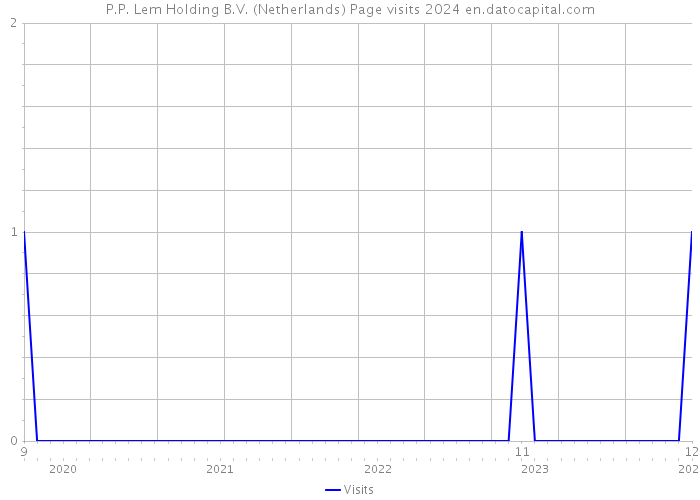 P.P. Lem Holding B.V. (Netherlands) Page visits 2024 