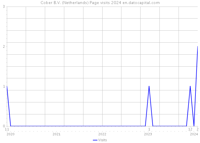 Cober B.V. (Netherlands) Page visits 2024 