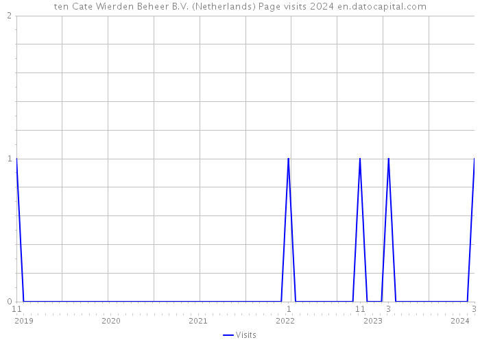 ten Cate Wierden Beheer B.V. (Netherlands) Page visits 2024 