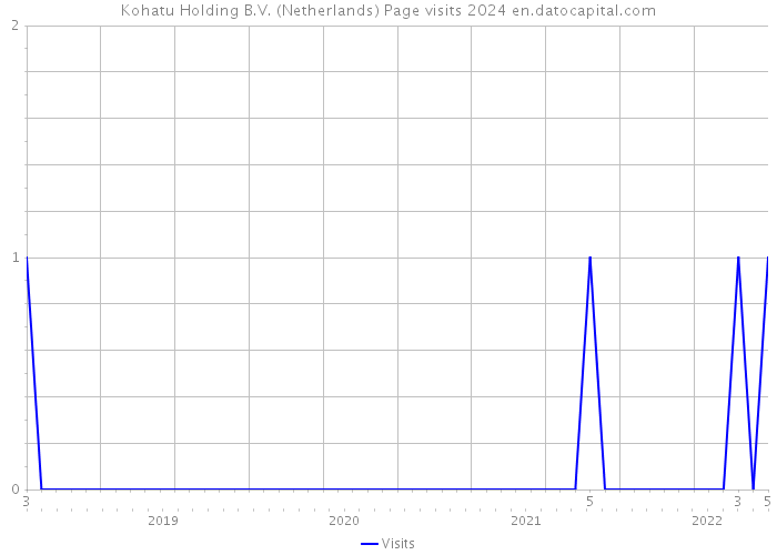 Kohatu Holding B.V. (Netherlands) Page visits 2024 