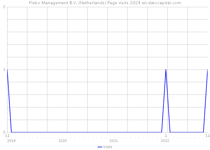 Flebo Management B.V. (Netherlands) Page visits 2024 