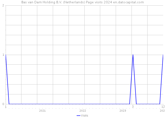 Bas van Dam Holding B.V. (Netherlands) Page visits 2024 