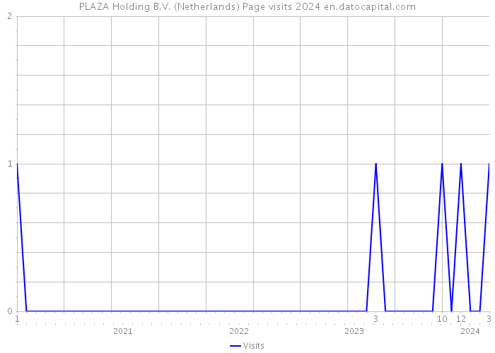 PLAZA Holding B.V. (Netherlands) Page visits 2024 