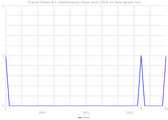 Grande Patate B.V. (Netherlands) Page visits 2024 
