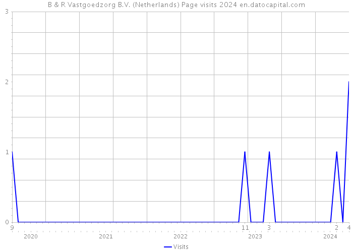 B & R Vastgoedzorg B.V. (Netherlands) Page visits 2024 