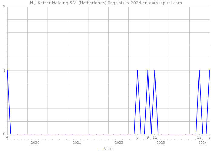 H.J. Keizer Holding B.V. (Netherlands) Page visits 2024 