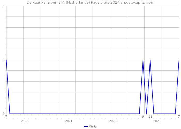 De Raat Pensioen B.V. (Netherlands) Page visits 2024 
