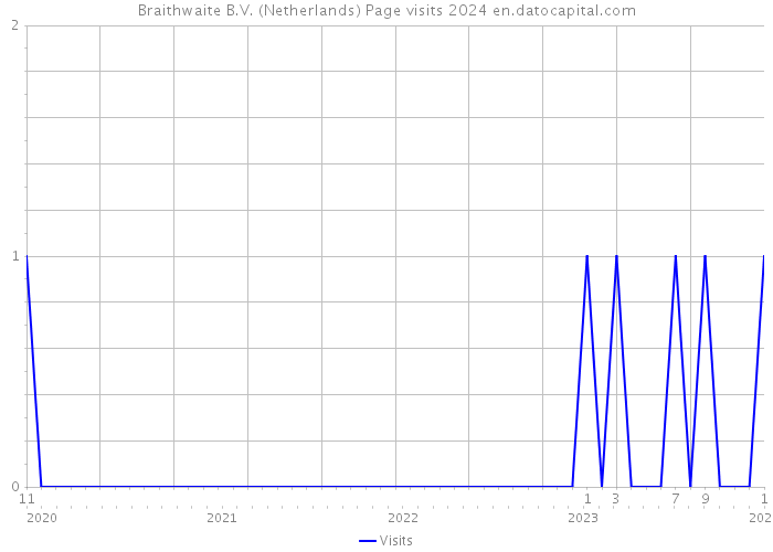 Braithwaite B.V. (Netherlands) Page visits 2024 