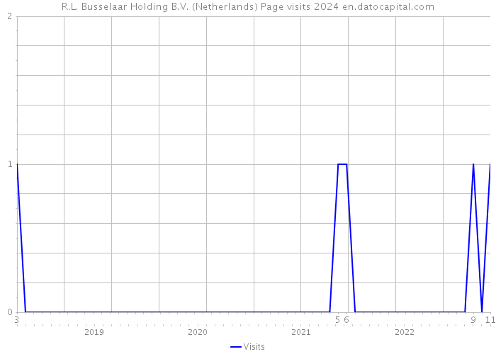 R.L. Busselaar Holding B.V. (Netherlands) Page visits 2024 