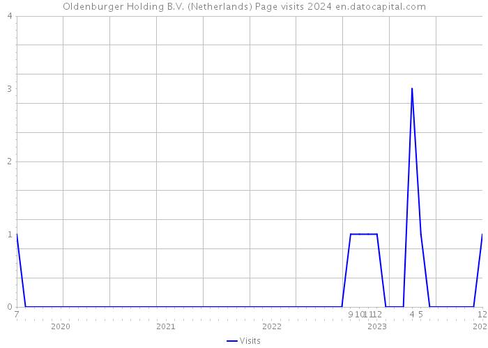 Oldenburger Holding B.V. (Netherlands) Page visits 2024 
