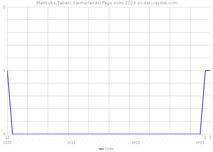Mahbube Tabani (Netherlands) Page visits 2024 